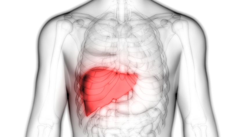 3D-image-of-liver.jpg